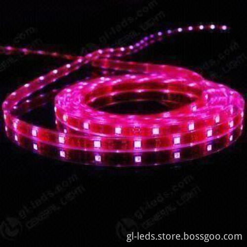 12V Waterproof LED Strip with 12 or 24V DC Voltage and 120° Wide Angle Illumination